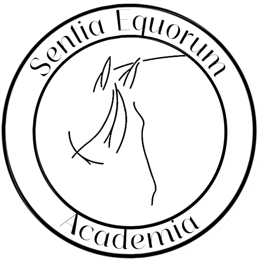 Academia Sentia Equorum